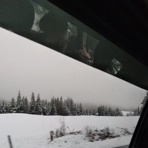 Meet your Posher, Travis